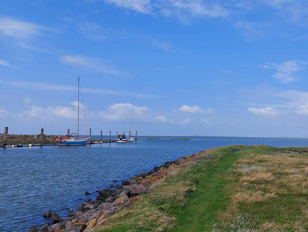 Nordsee (c) Frederike Müller