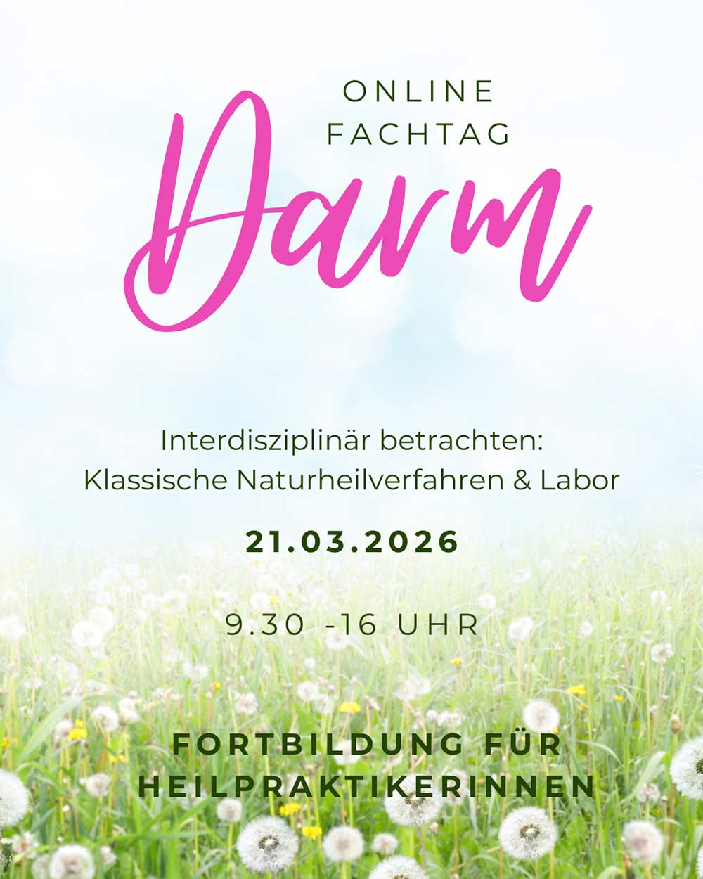 Online Fachtag Darmgesundheit